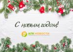 С Новым годом! - превью