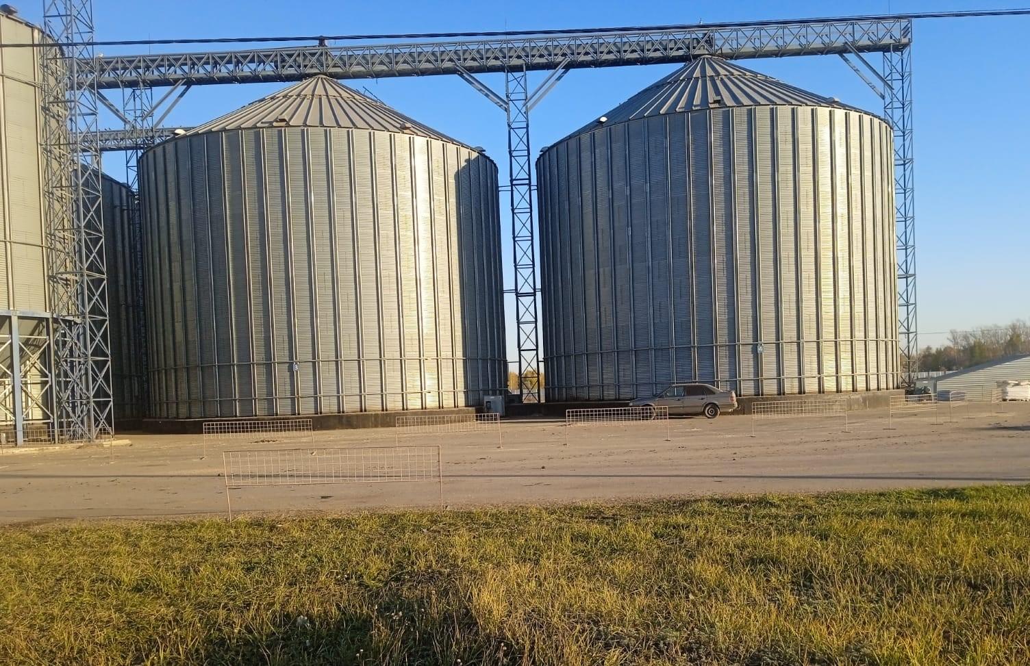 О ситуации с приемом и хранением зерна рассказали в Костанае - изображение