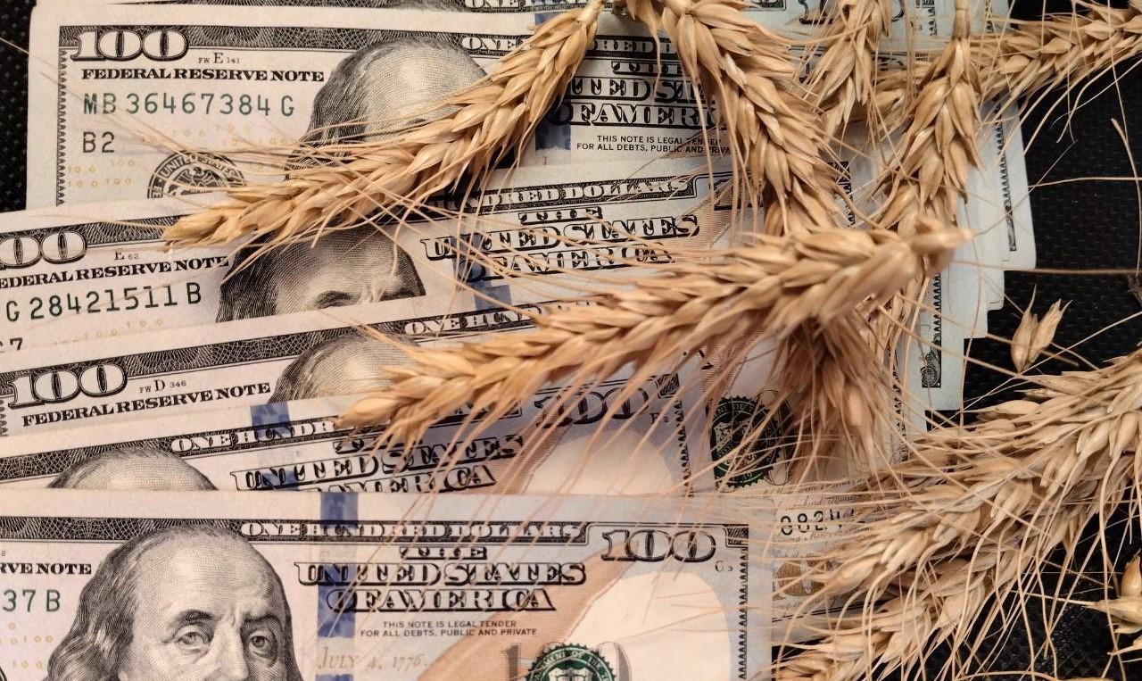 Мировые цены на зерно в 2025 году были самыми низкими за последние 5 лет - изображение