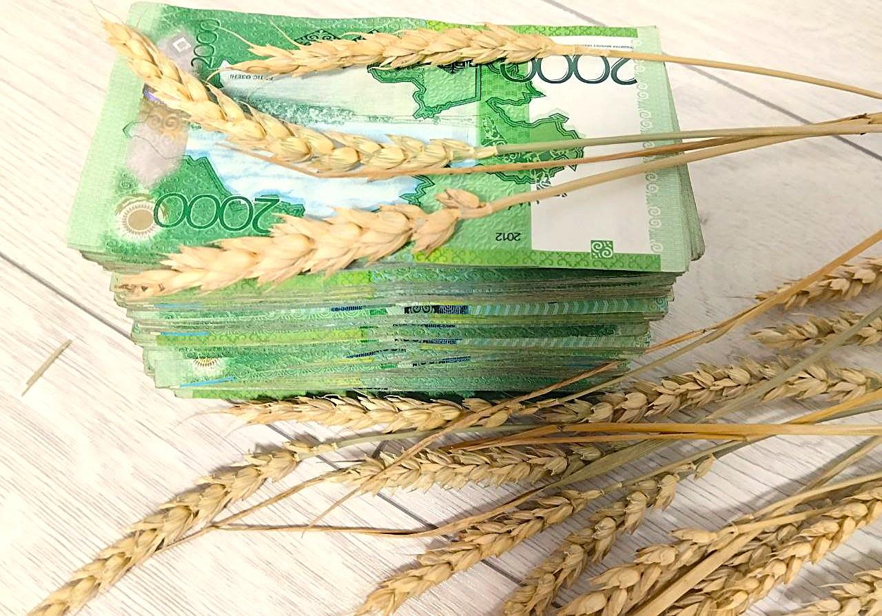 Обращались во все инстанции. КазАгроФинанс увеличивает сумму платежей по лизингу  - изображение