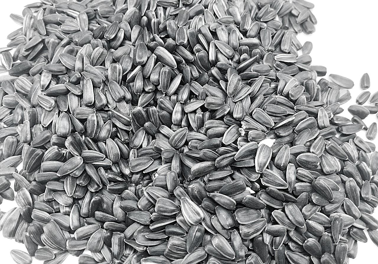 4 млн тонн масличных осталось в Казахстане - изображение