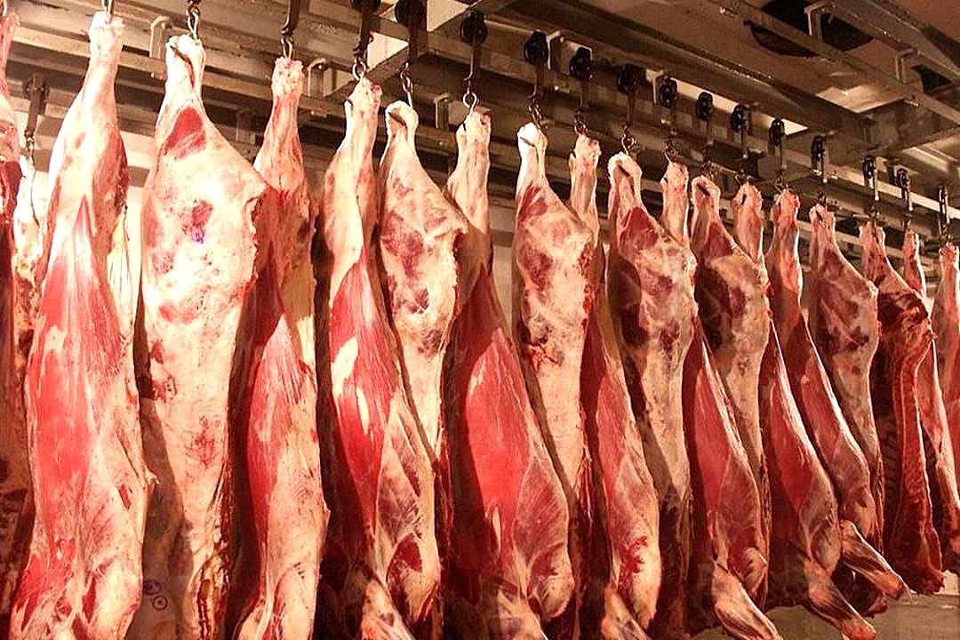 Импорт мяса превысил 200 тыс. тонн, это вдвое больше объема экспорта в 2025г - изображение
