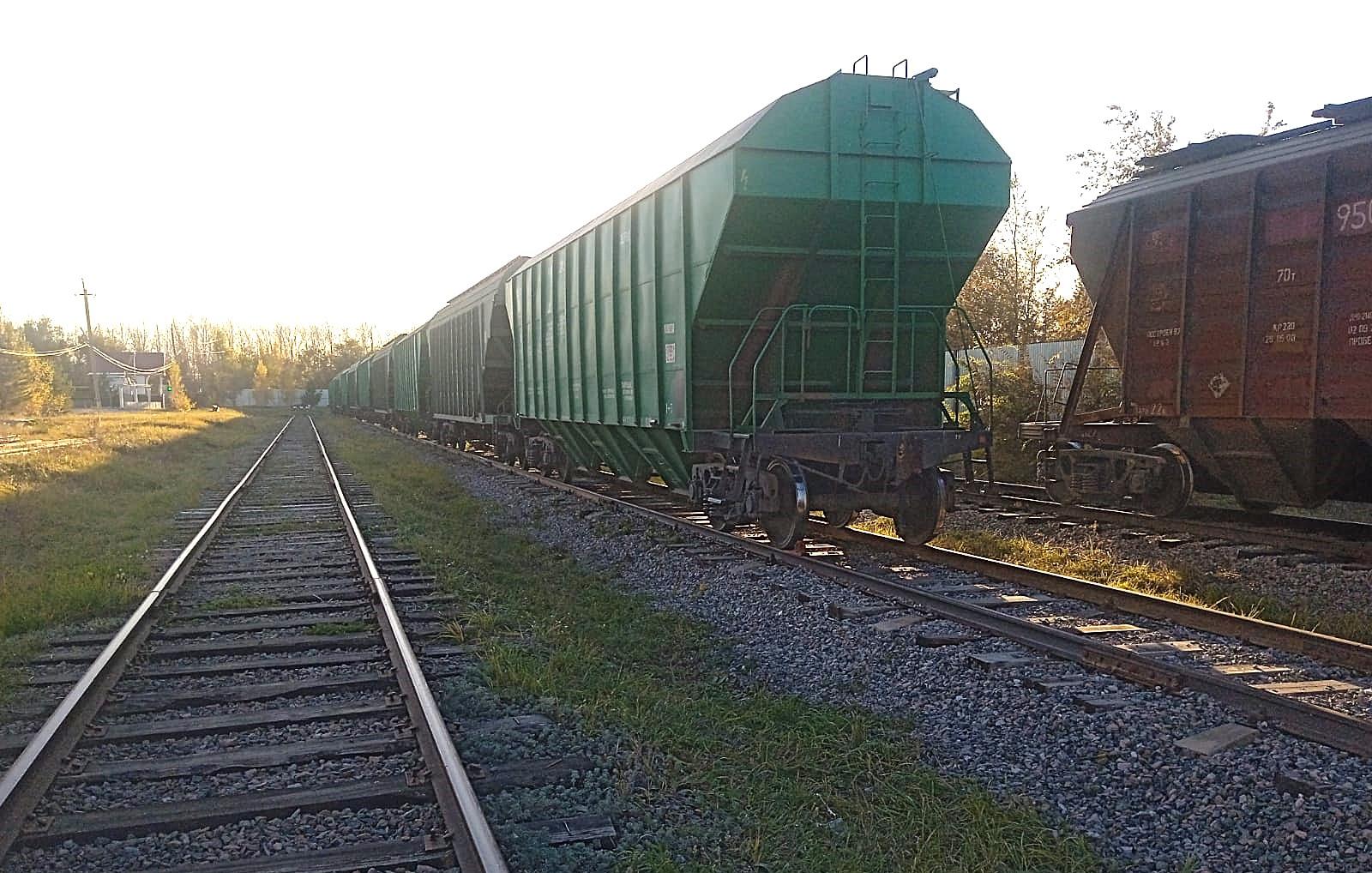 Грузовые железнодорожные перевозки зерна в Узбекистан в 2025 году выросли на 32% - изображение