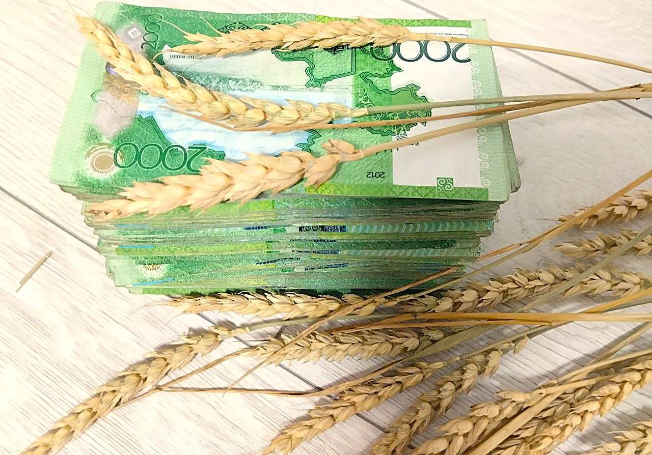 КазАгроФинанс увеличивает сумму платежей по лизингу - изображение