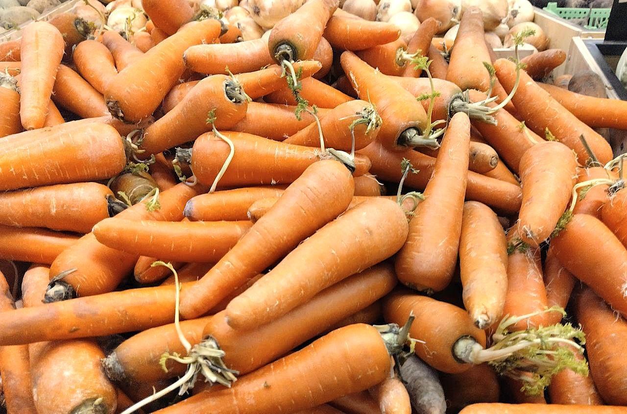 Если введут запрет на экспорт овощей, мы окончательно потеряем российский рынок – Союз картофелеводов - изображение