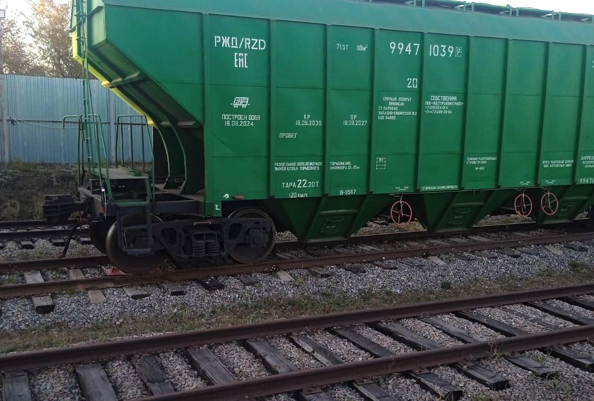 Сколько зерна экспортировал Казахстан с начала сезона - изображение