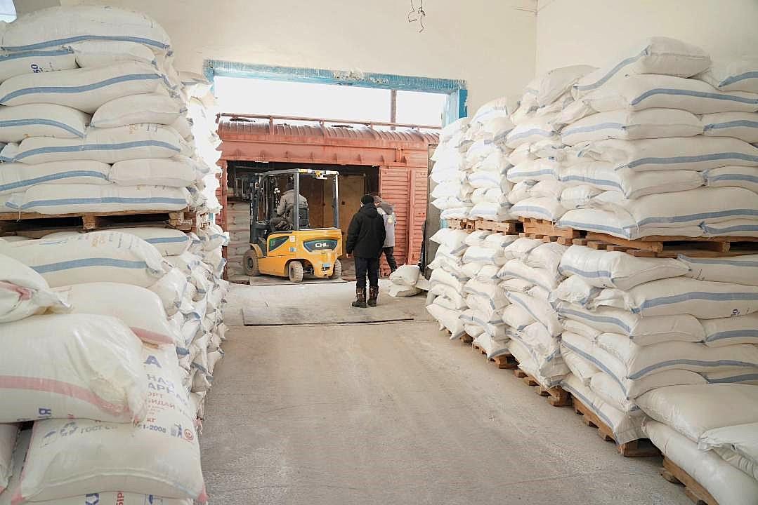 Завод по переработке зерна ввели после модернизации на юге Казахстана - изображение