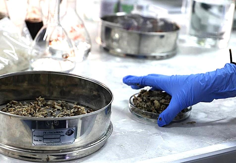 О реальном положении дел в аграрной науке рассказали в Сенате - изображение