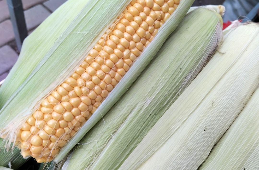 «АзияАгроФуд» направит 2,5 млрд тенге на глубокую переработку кукурузы - изображение