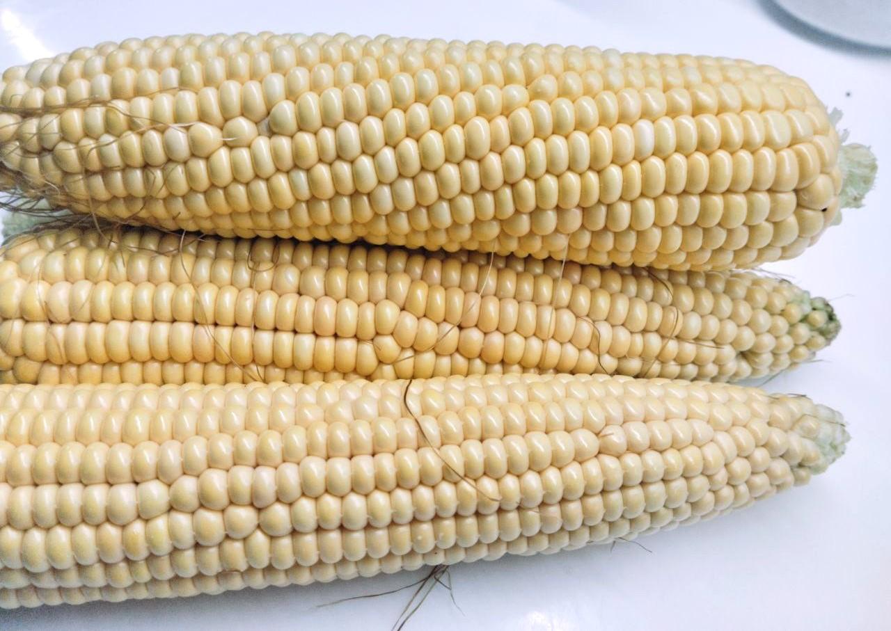 Сырья не хватает новым производствам по переработке кукурузы - изображение
