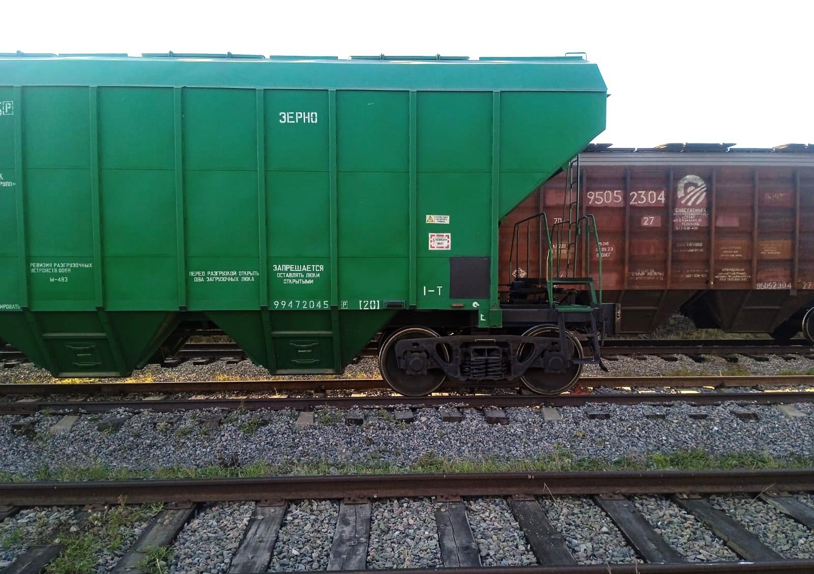 Зерновой Союз повысил прогноз экспорта пшеницы до исторически максимального - изображение