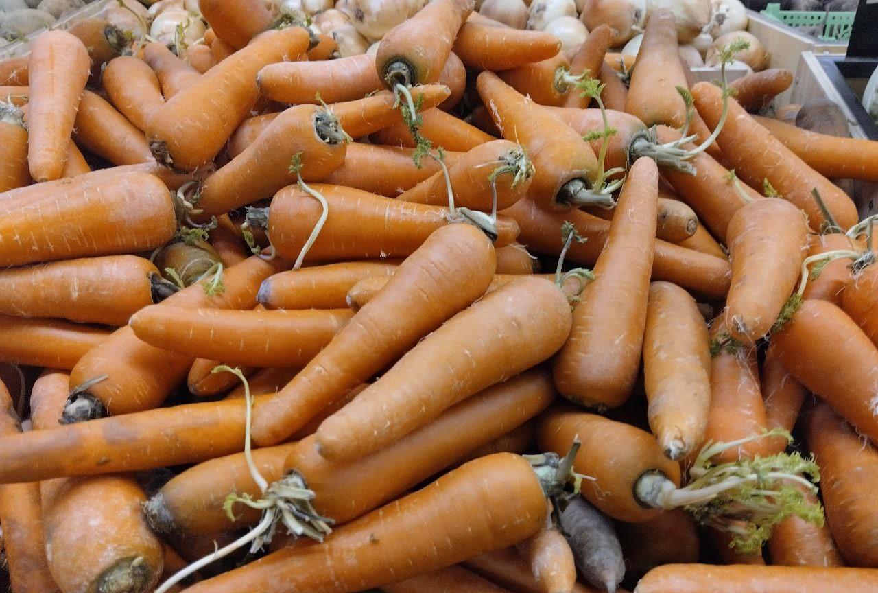 Запрет на экспорт моркови вводить не будут – Правительство - изображение