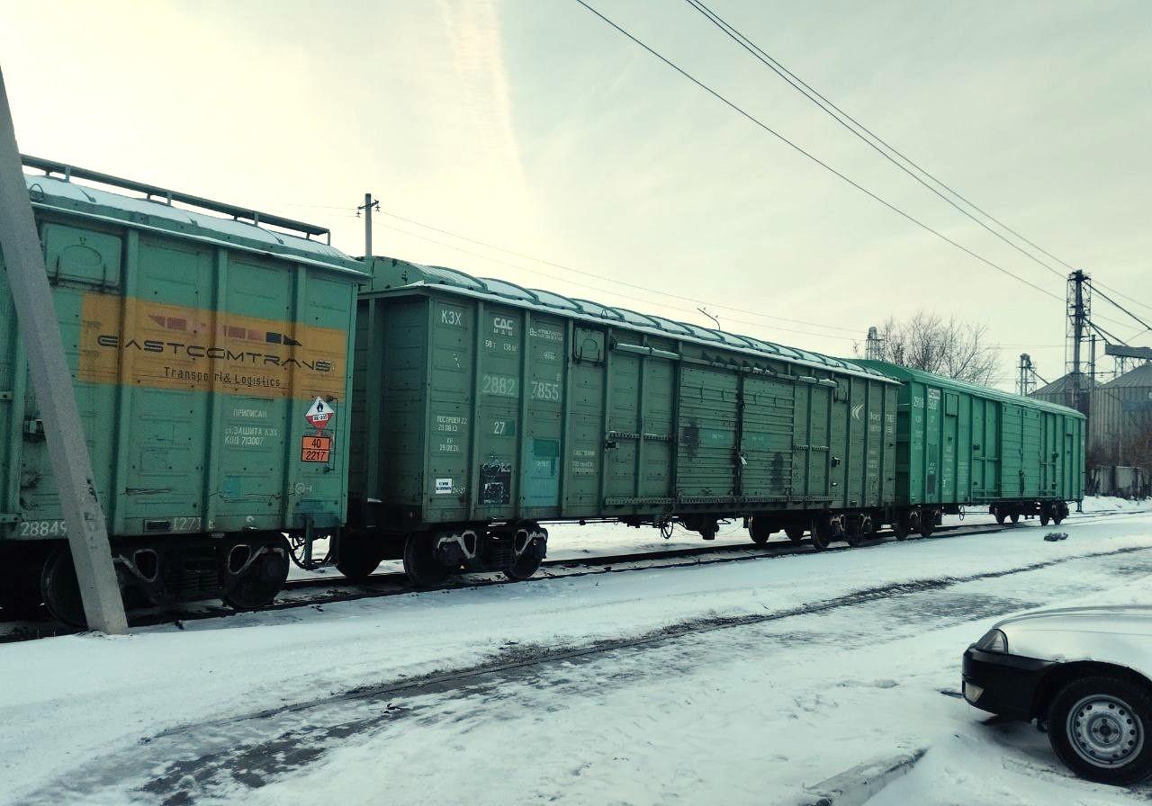 Трехкратный рост перевозок казахстанского зерна через Россию - 2,2 млн тонн - изображение