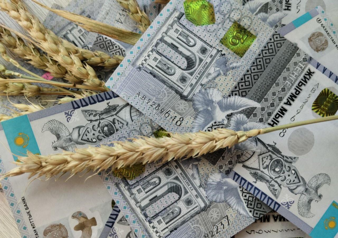 Цены на зерновые и масличные растут на внутреннем и внешних рынках - изображение