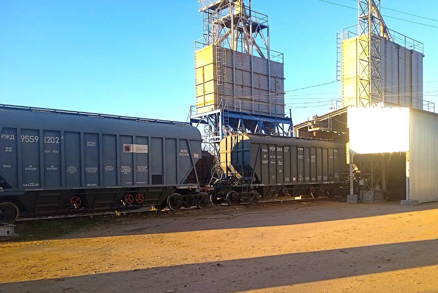 Ограничений по отгрузке зерна в Китай и Среднюю Азию на данное время нет – КТЖ  - изображение