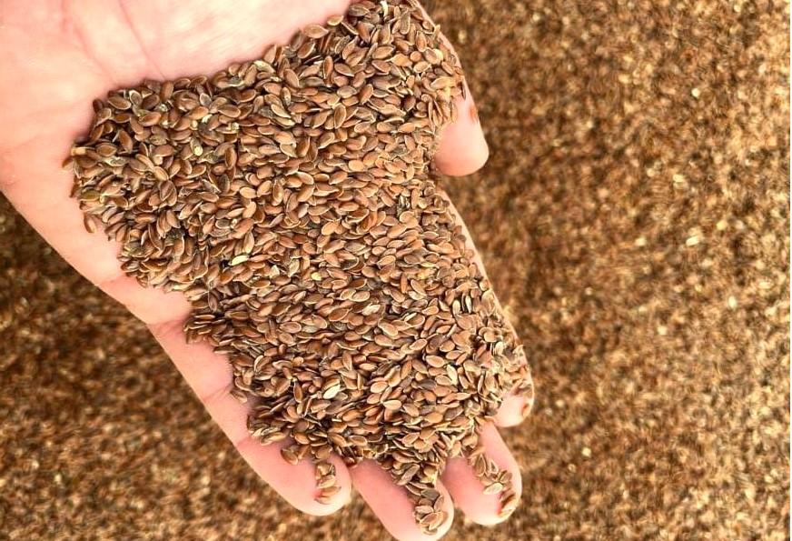 Пошлины на российский лен позволили Казахстану отгрузить рекордный объем в Европу - изображение