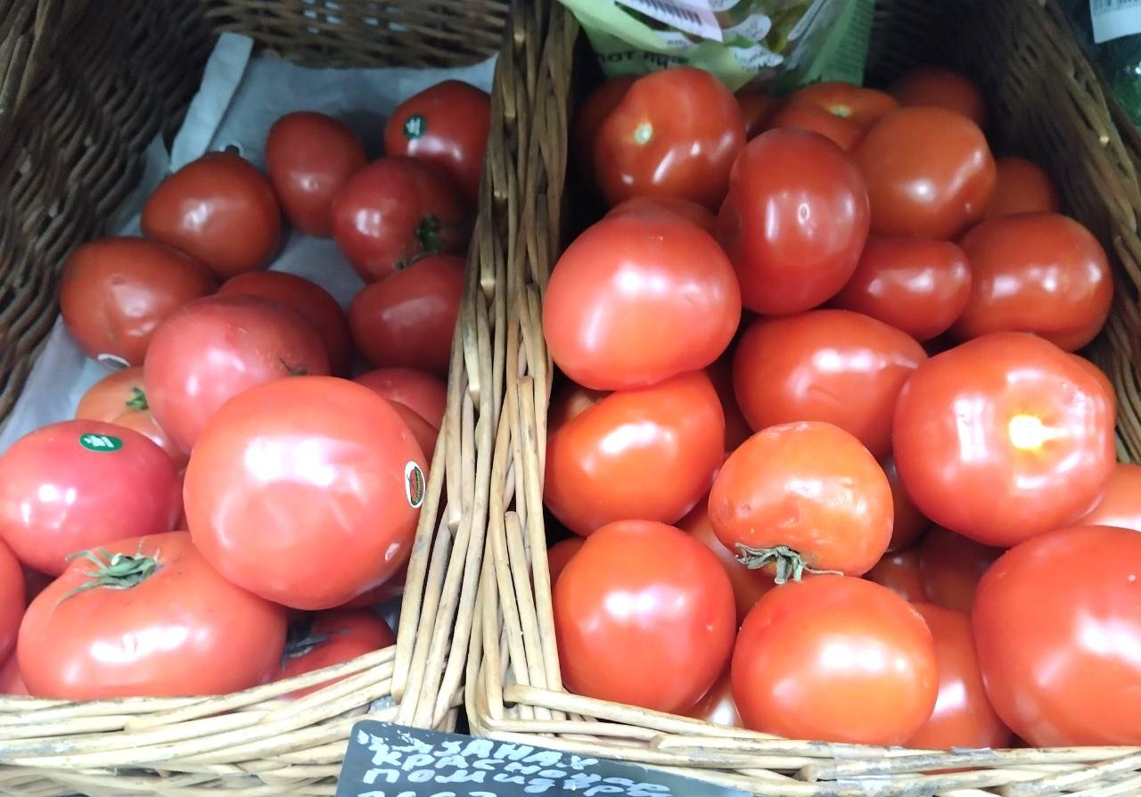 Промышленный тепличный комплекс стоимостью 42 млрд тенге запустят на юге Казахстана - изображение