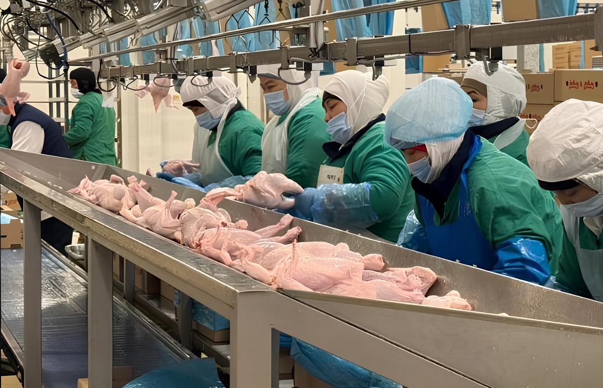 Птицеводческое предприятие «Прима Кус» наладит экспорт мяса в Китай - изображение