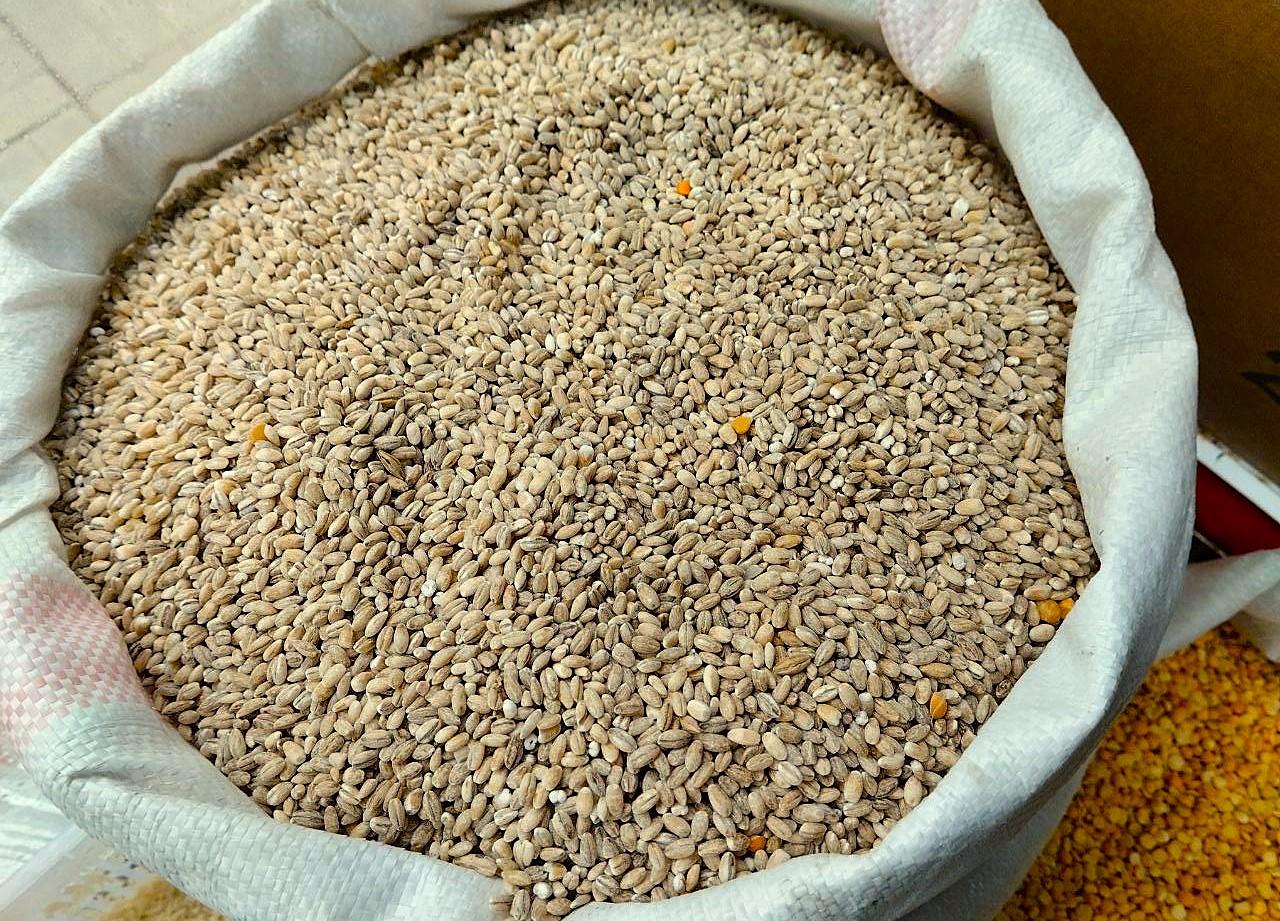 Восстановление экспорта ячменя в Иран будет зависеть от геополитических факторов  - изображение