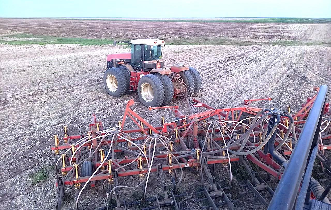 4,6 млн га зерновых посеют в Акмолинской области в 2026г - изображение