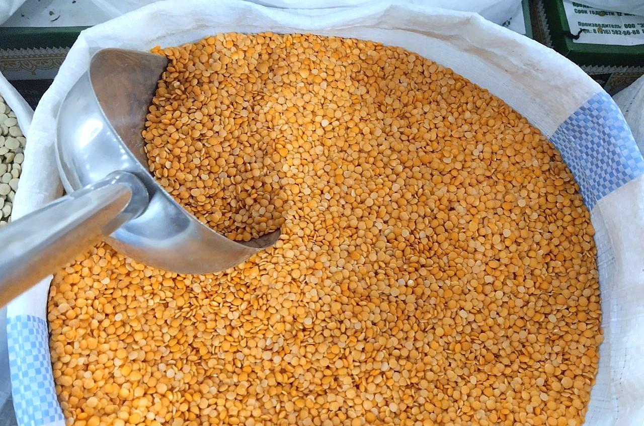 Сеять бобовые с осторожностью рекомендуют аграриям в 2026 году - изображение