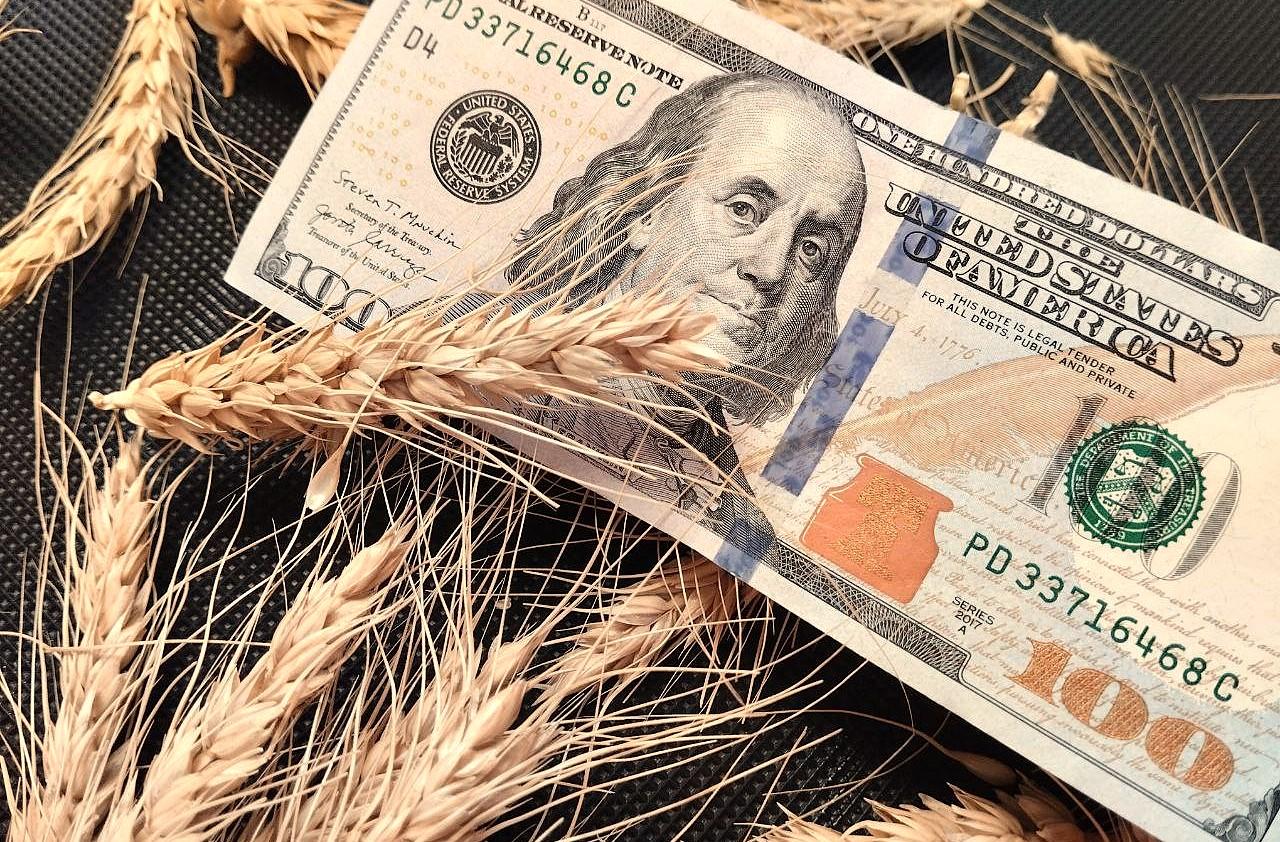 $40-45 с каждой тонны дополнительно заработали зерновики Казахстана - изображение