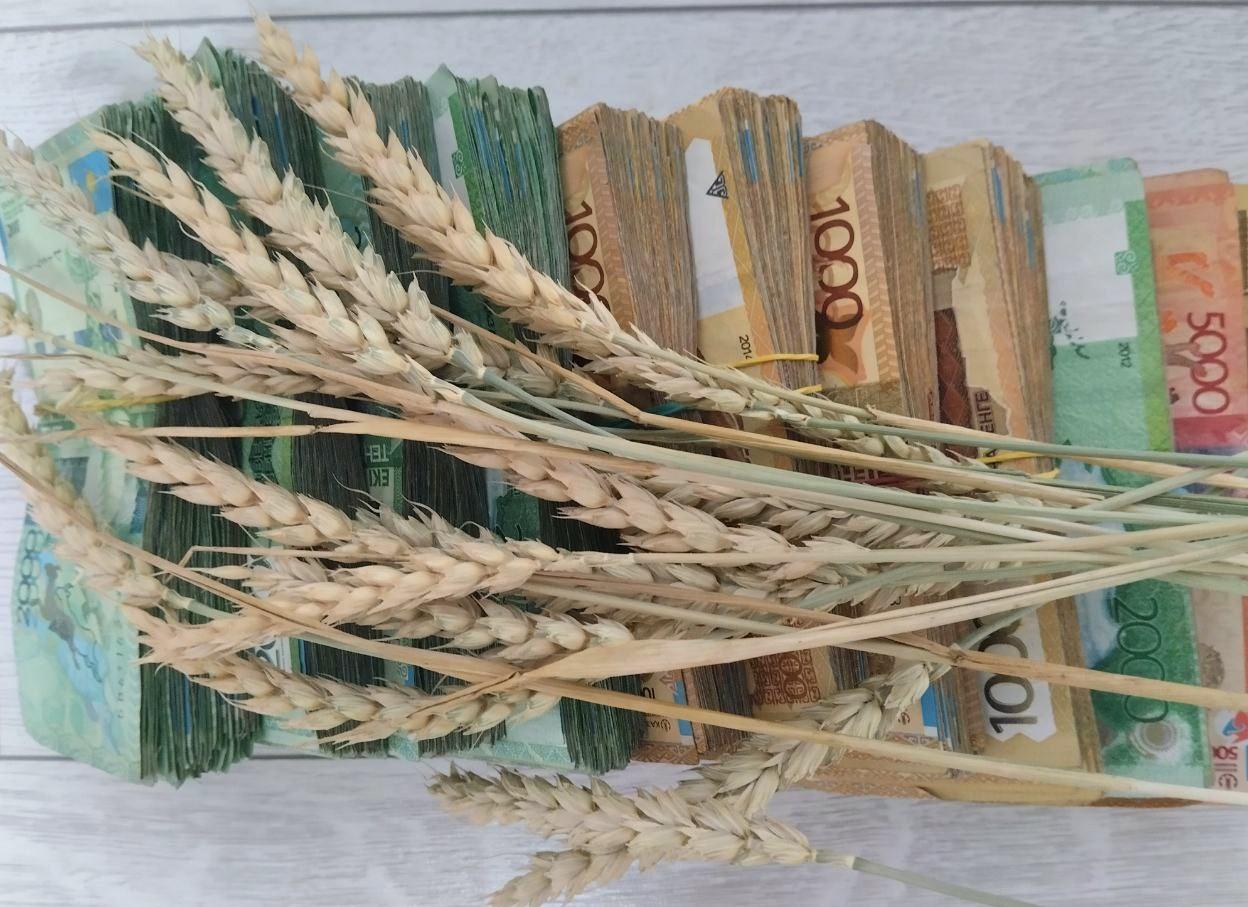 Стагнация началась на рынке зерна в Казахстане - изображение