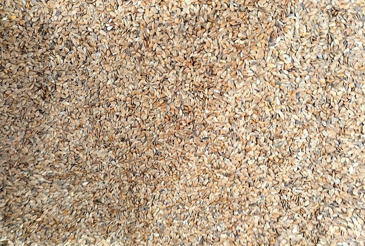 Экспортная цена на казахстанский лен продолжила «ралли» и существенно поднялась - изображение