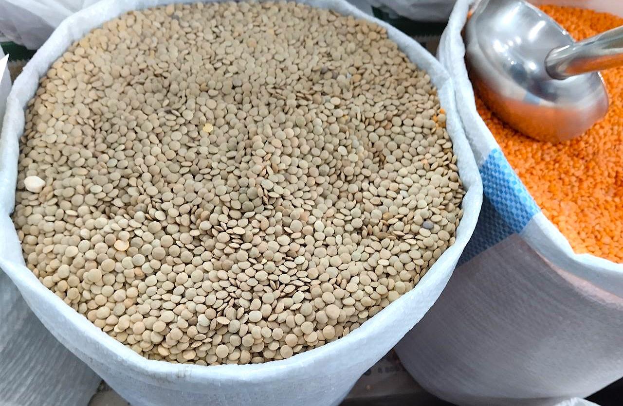Казахстан занял 6 место по экспорту чечевицы в мире и будет далее развивать потенциал - МСХ - изображение