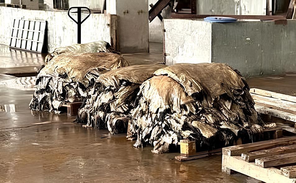 Заводы по переработке шкур и шерсти реанимируют в Казахстане - изображение