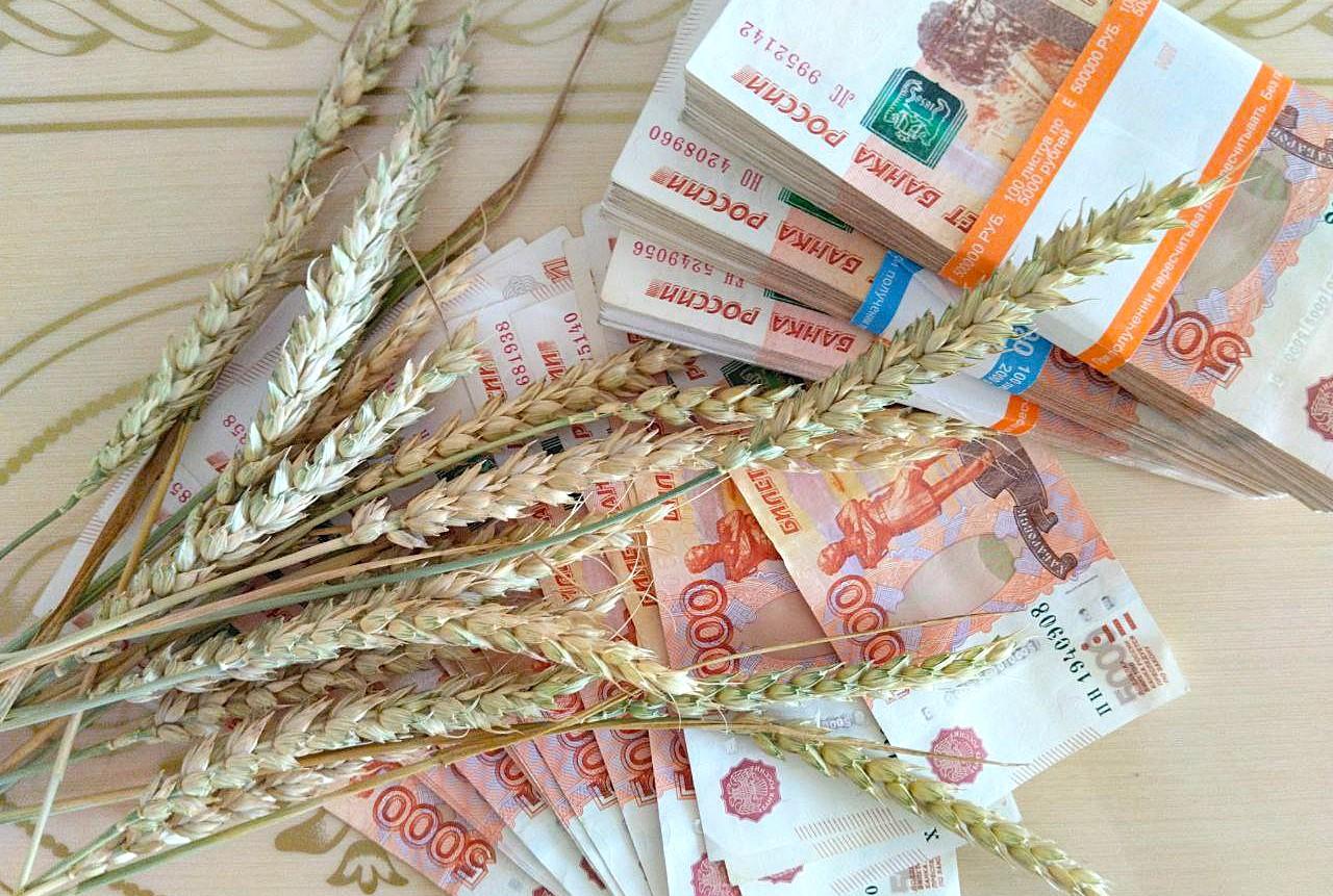 Сколько российской пшеницы, гороха и кукурузы готов закупить Казахстан   - изображение