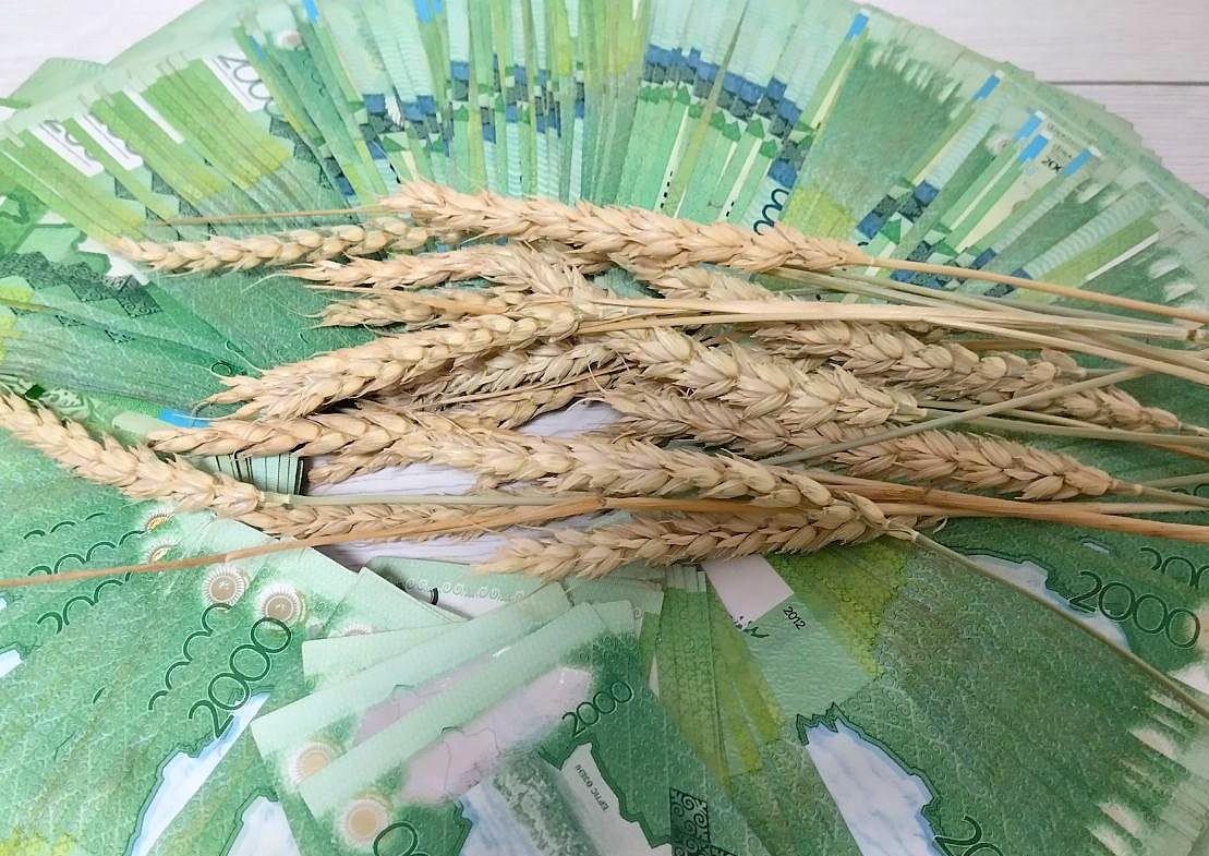 Продкорпорация расширила линейку прямого закупа культур  - изображение