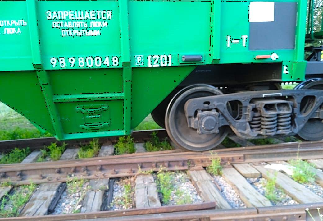 Урожай есть, спрос есть, инфраструктура есть. Экспортеры зерна намерены выйти на новый уровень показателей в Китай - изображение