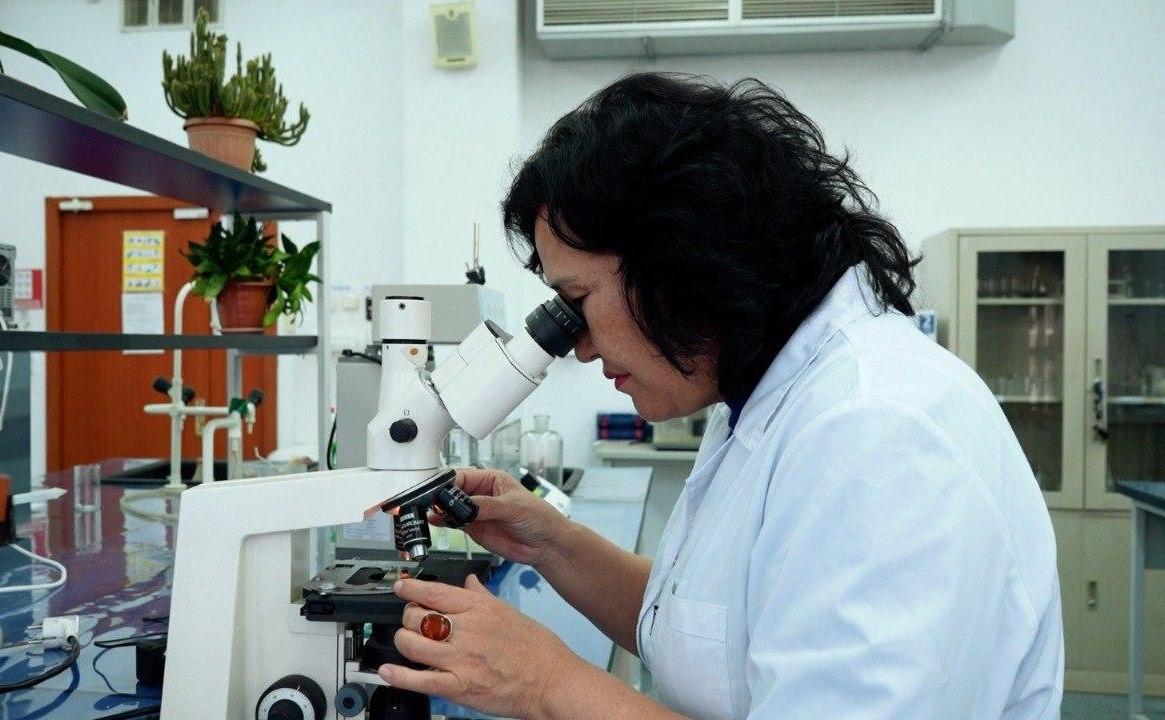 Скандал с ветеринарным НИИ прокомментировали в Правительстве - изображение