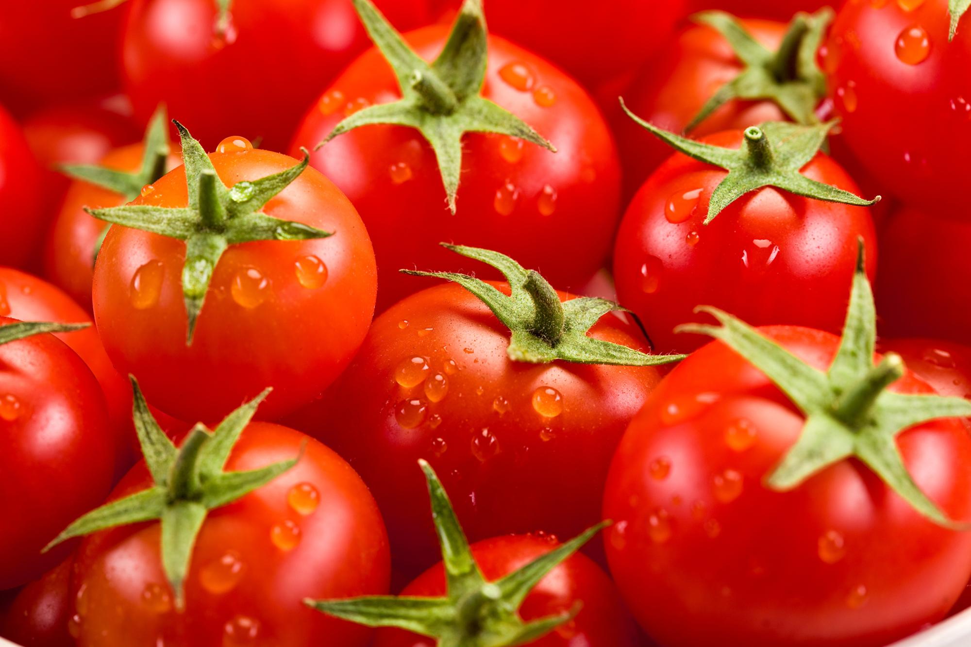 Турецкая Aksa Energy построит томатный завод в Кызылорде