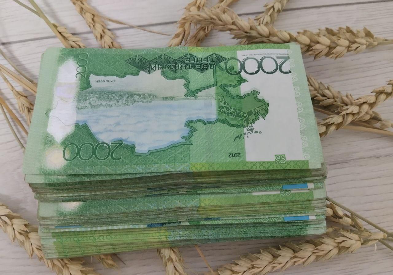 Льготное кредитование фермеров переведут в цифровой формат - изображение