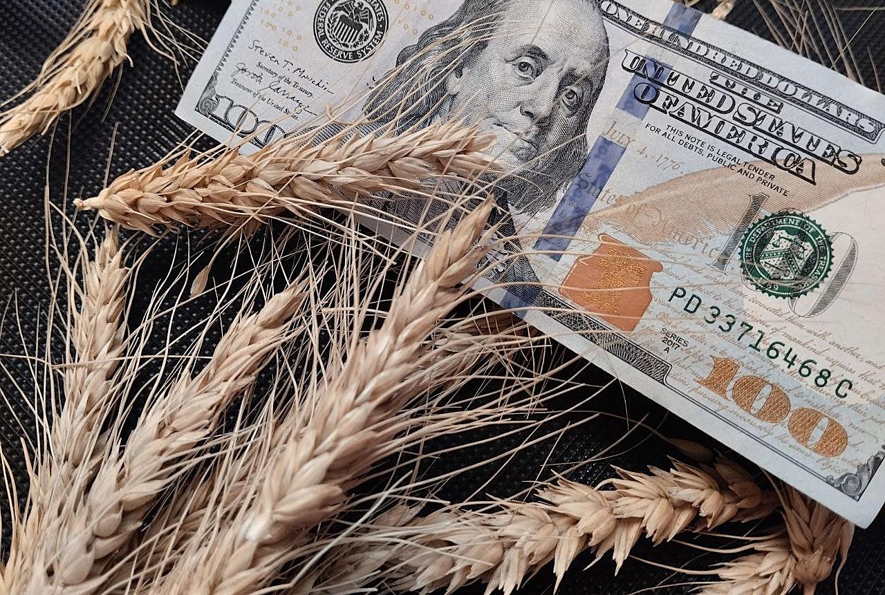 Лучше мы откажемся от российских портов, чем отдадим южные рынки – Зерновой Союз Казахстана - изображение