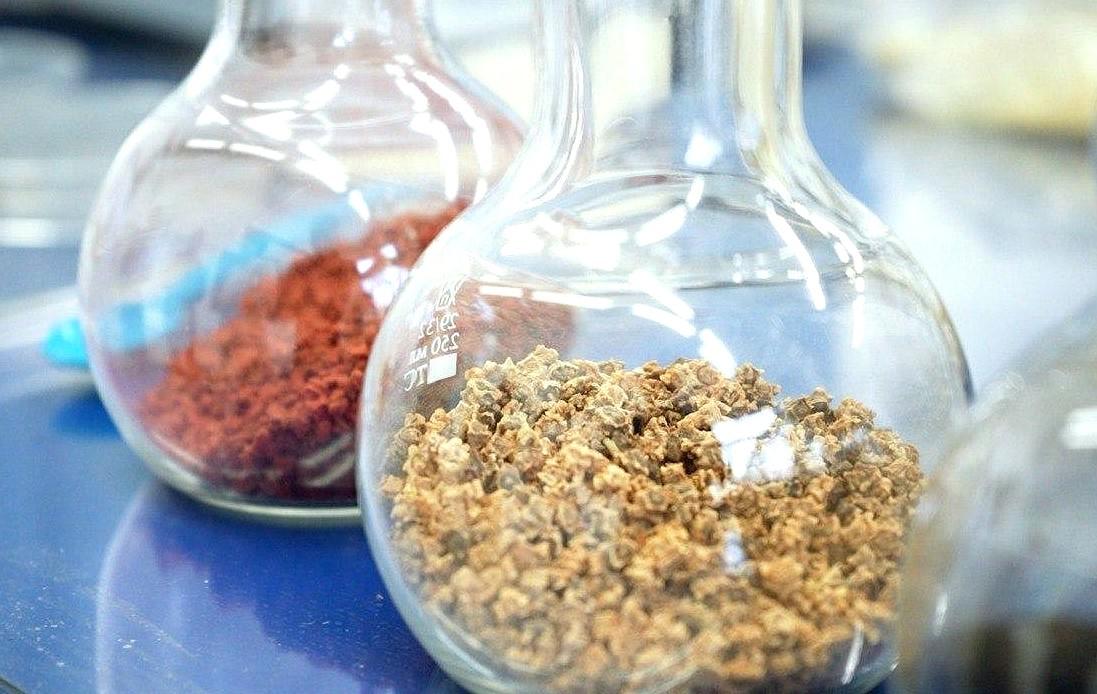 РФ и РБ начали обращаться к Казахстану за семенами высших категорий. Срочно вступить в UPOV необходимо РК - изображение