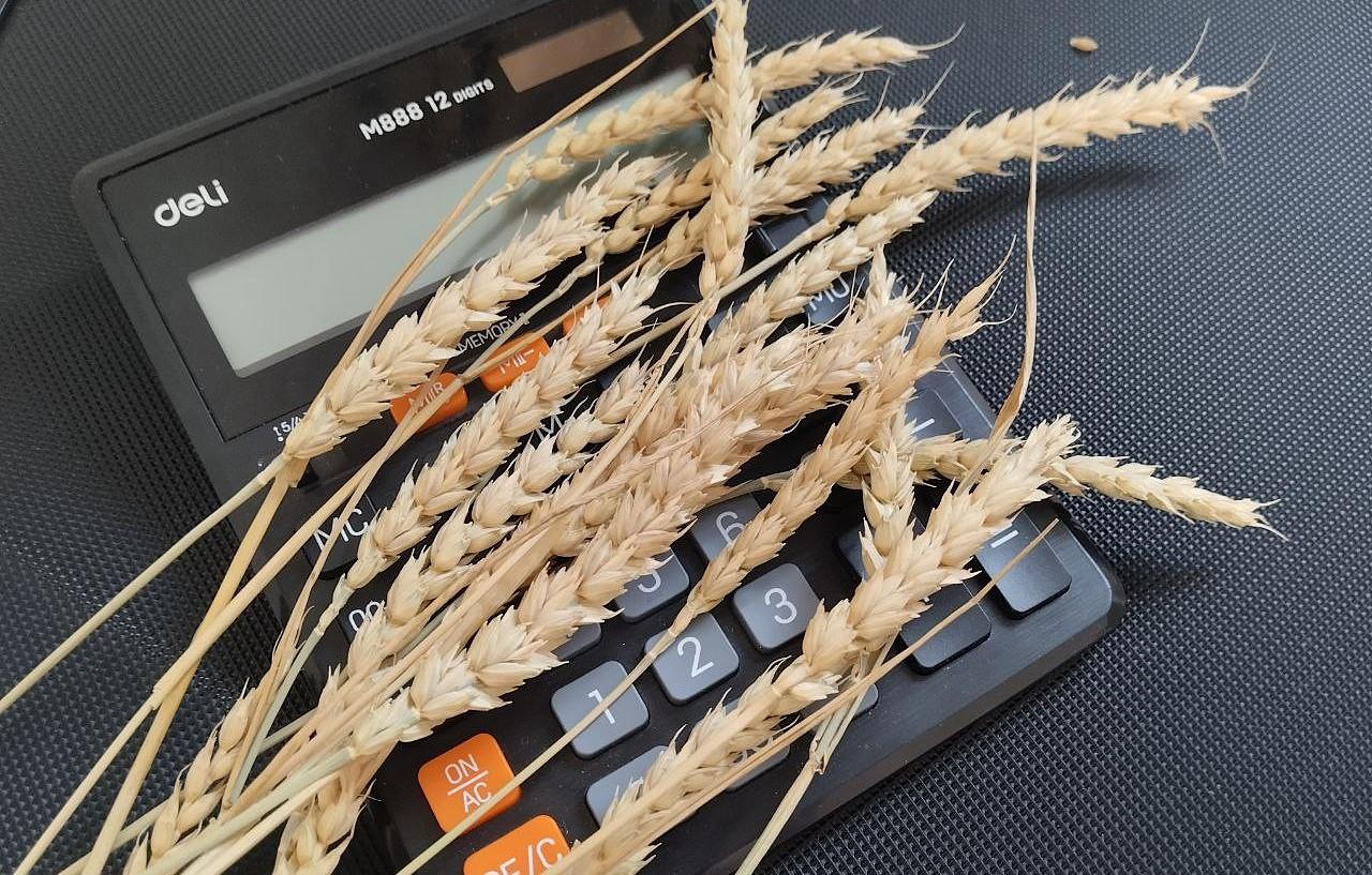 Поставки казахстанского зерна в Иран заморозились на неопределённый срок  - изображение