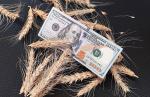 Мировые цены на пшеницу выросли в феврале - превью