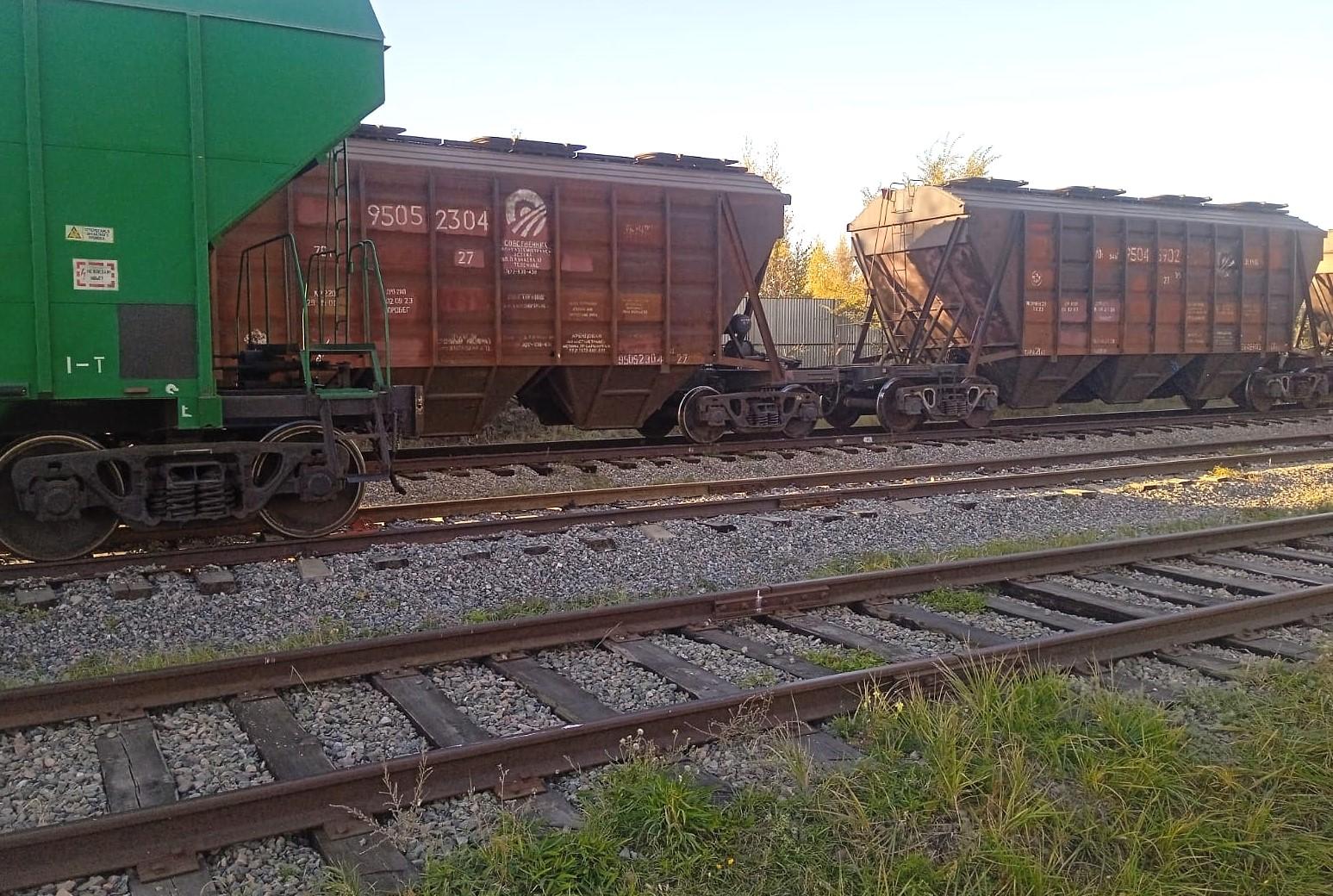 КТЖ и переработчики масличных избавились от трейдеров по экспорту в Китай - изображение