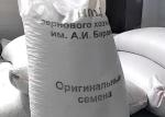 Переработку органического зернового сырья наладят в научном Центре Бараева - превью