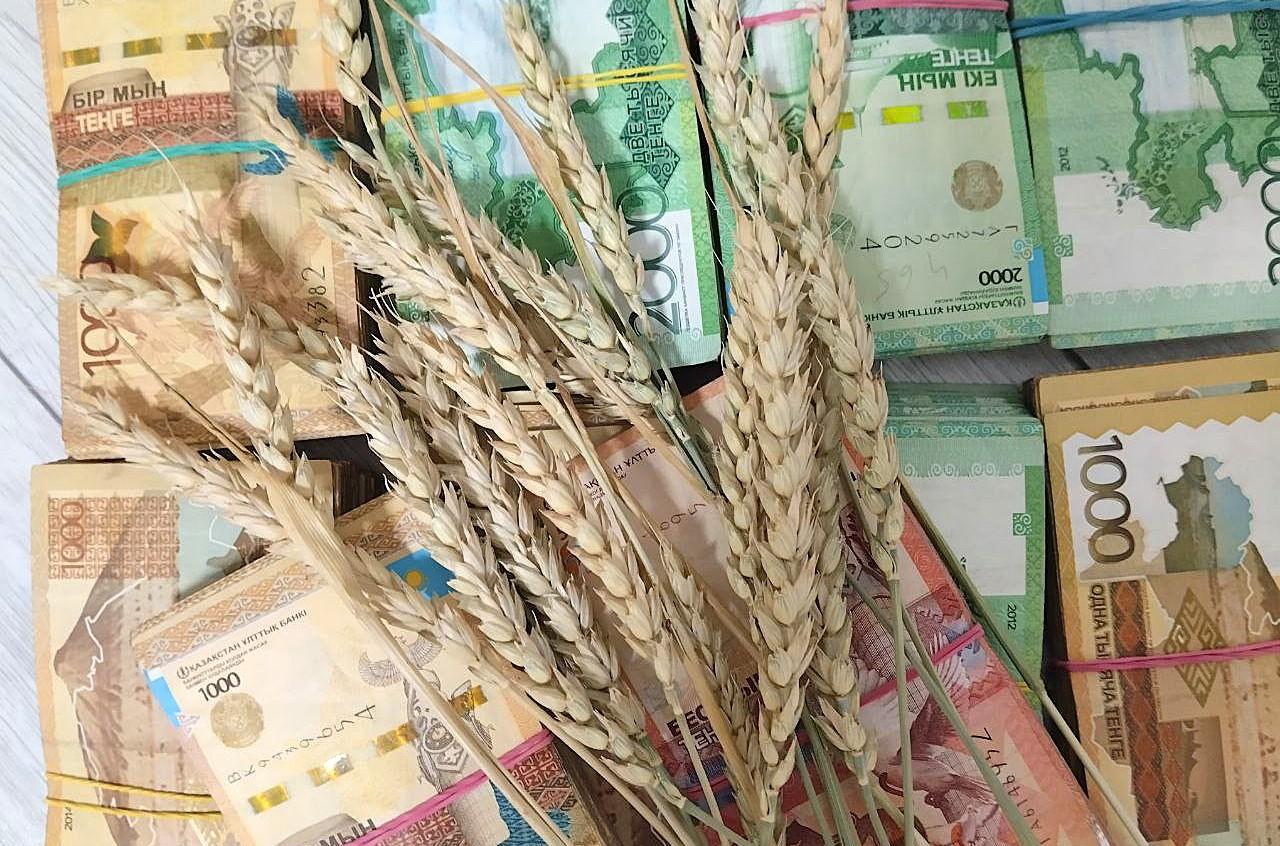 Внутренний рынок зерна нестабилен. Цены предложений превышают цены спроса   - изображение