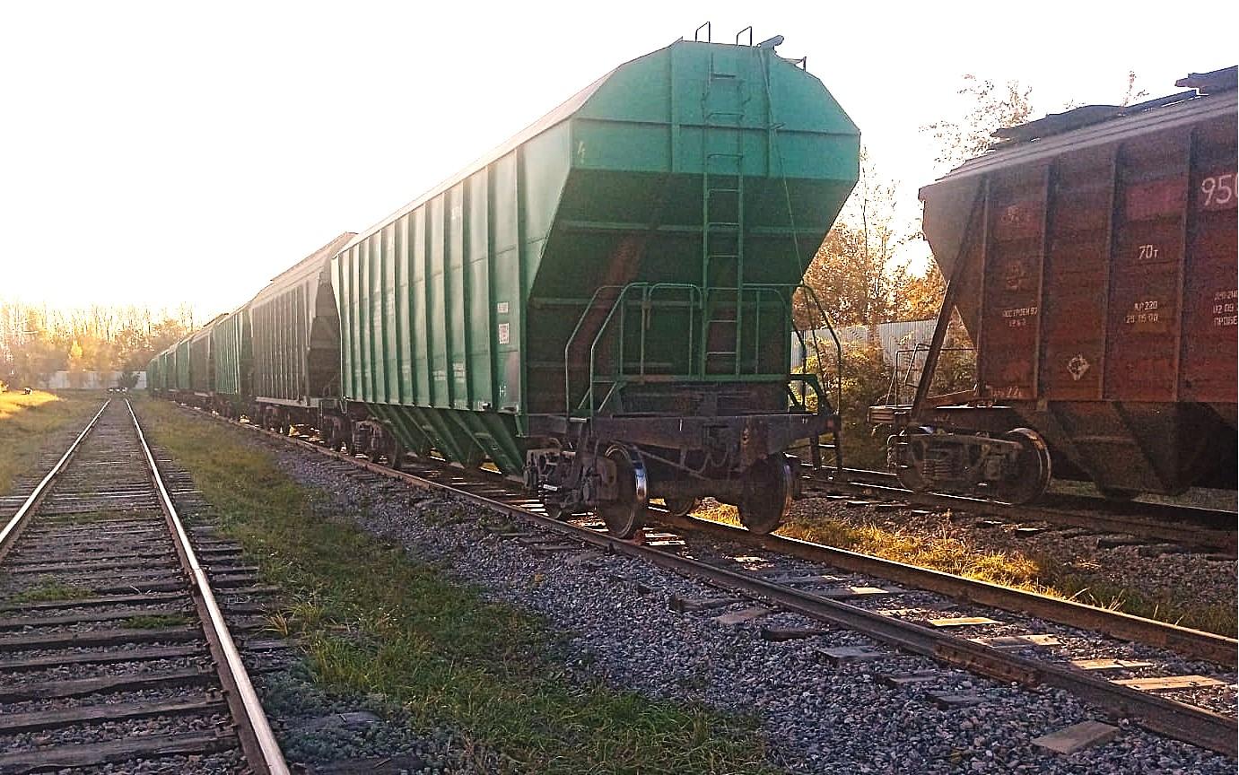 Импорт пшеницы из РФ растет. Прогнозируется дальнейшее увеличение - изображение