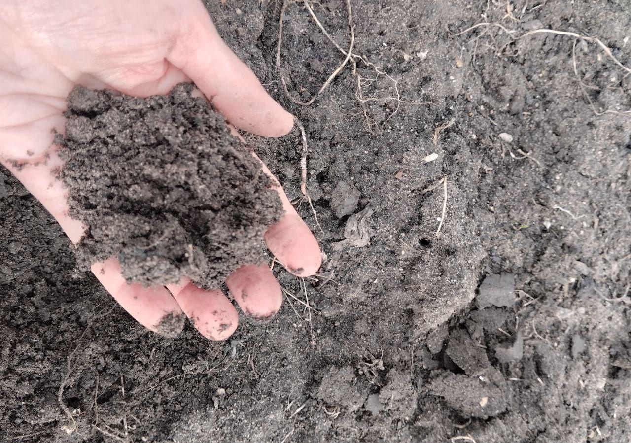 Ситуация в Иране давит на рынок удобрений: Казахстан зависит от импорта - изображение