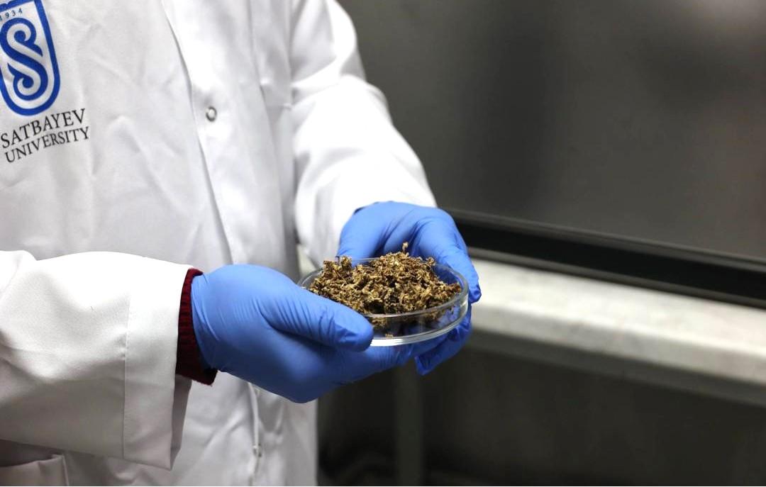 Разработать Нацпрограмму коммерциализации научных разработок просят в Казахстане  - изображение