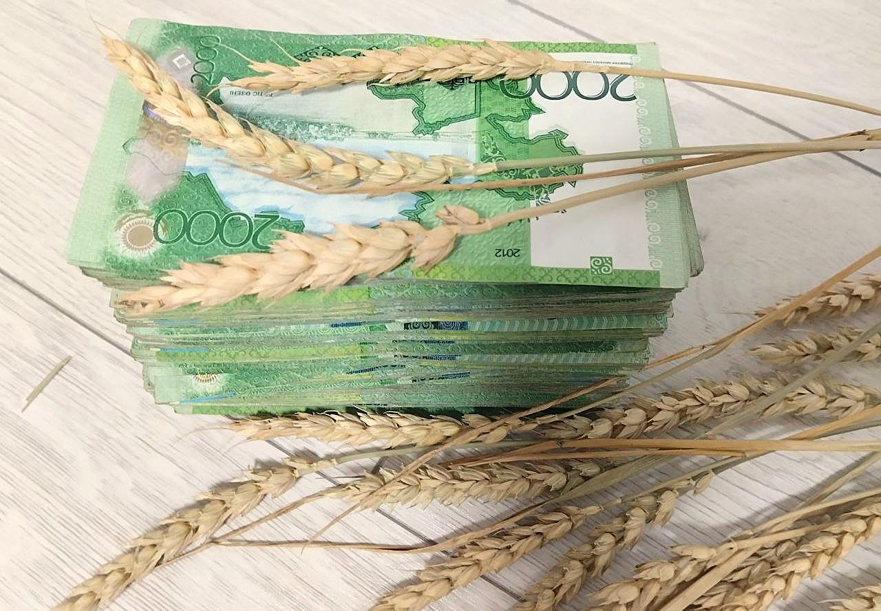 Лимиты госфинансирования почти вполовину ниже реальных рыночных цен - изображение