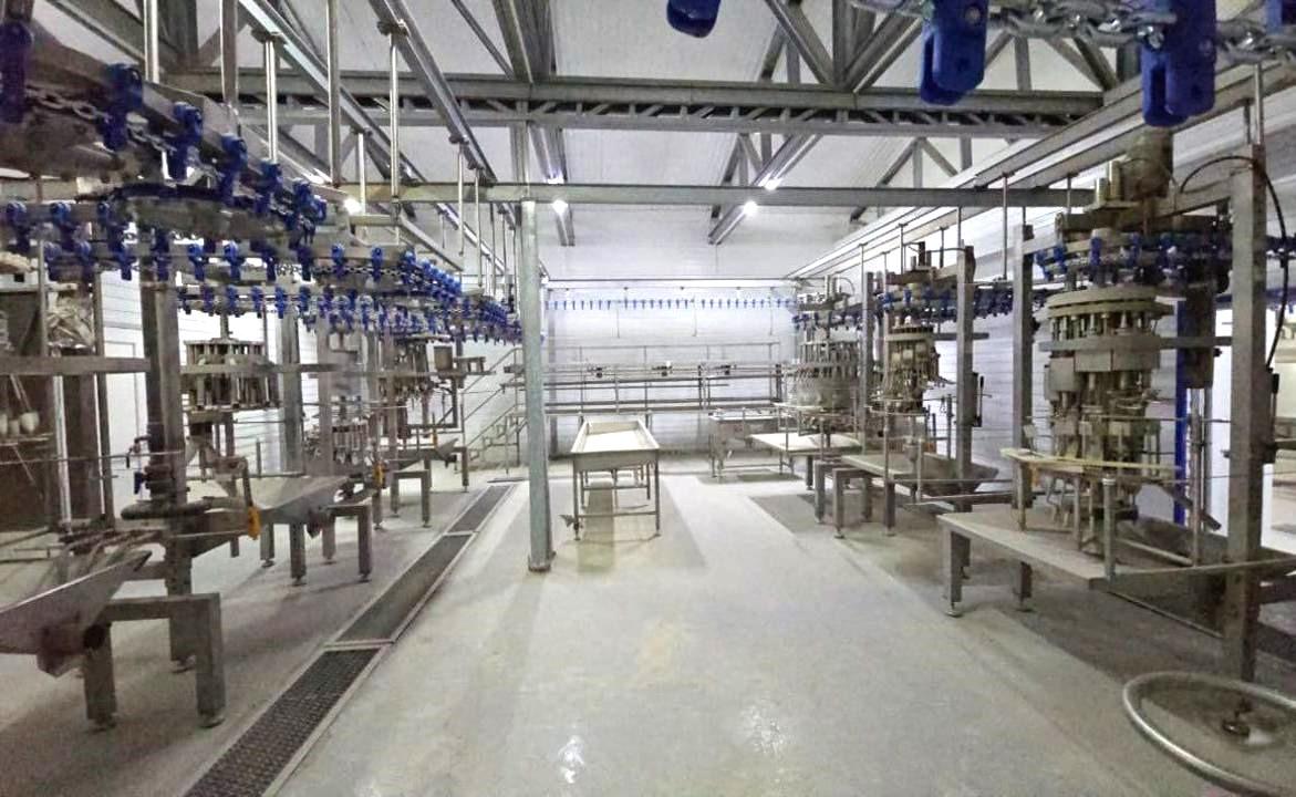 Казахстанско-российский проект по строительству птицефабрики реализуют в Кызылординской области - изображение