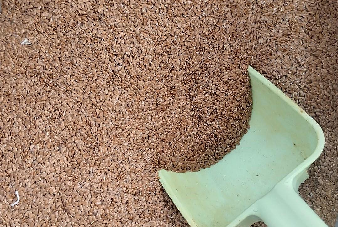 Цены на лен вновь начали движение вверх. Впереди дальнейшее удорожание - изображение