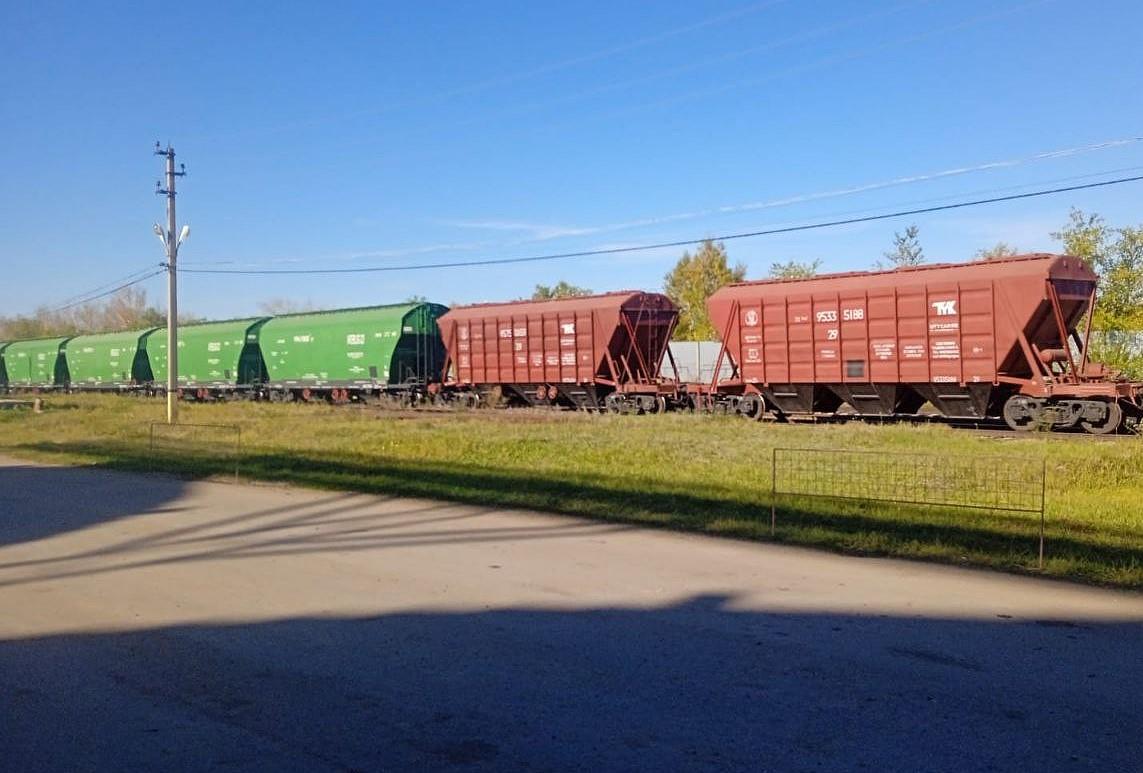 Экспортные цены на казахстанскую пшеницу 30 марта - изображение